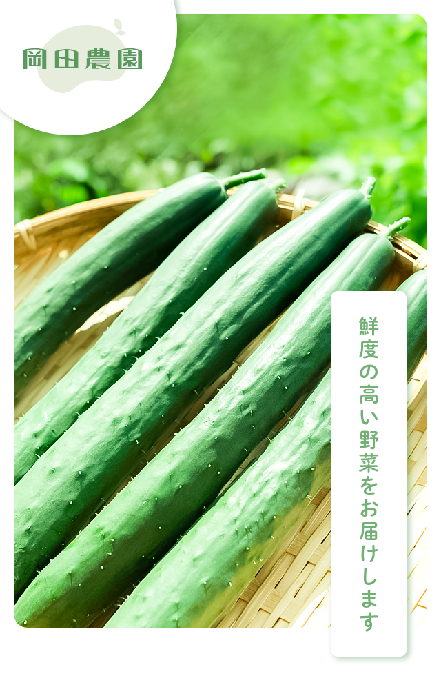 鮮度の高い野菜をお届けします